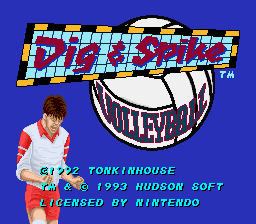 Dig & Spike Volleyball (USA) Title Screen